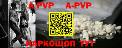 молекула духа Кингисепп