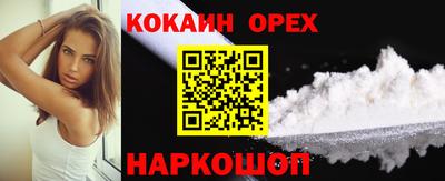 молекула духа Кингисепп