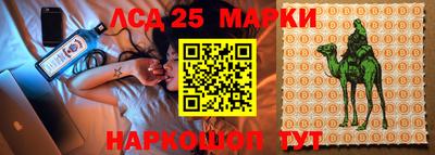 скорость Кимры