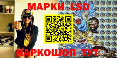 молекула духа Кингисепп