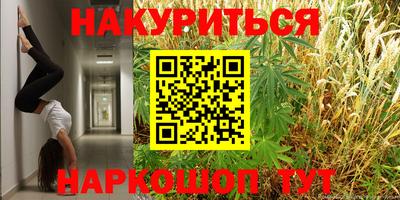 молекула духа Кингисепп