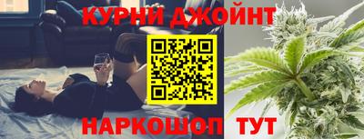 молекула духа Кингисепп