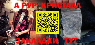 молекула духа Кингисепп