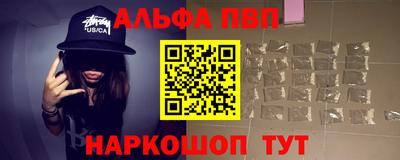 молекула духа Кингисепп