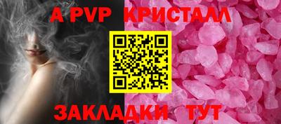 молекула духа Кингисепп
