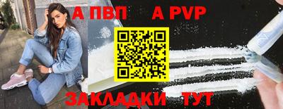 молекула духа Кингисепп