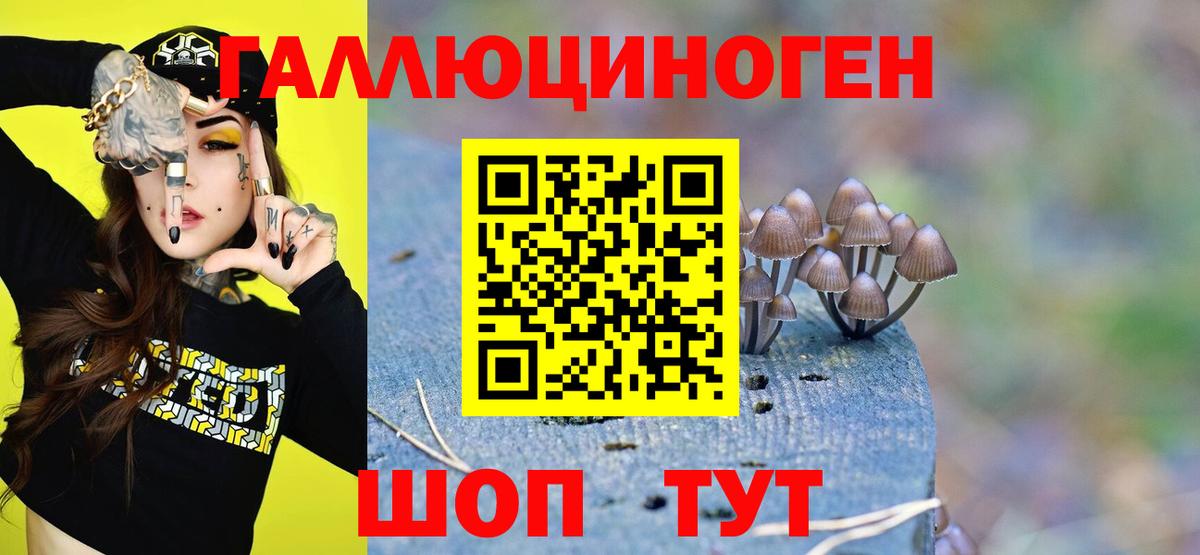 Галлюциногенные грибы мухоморы Кропоткин